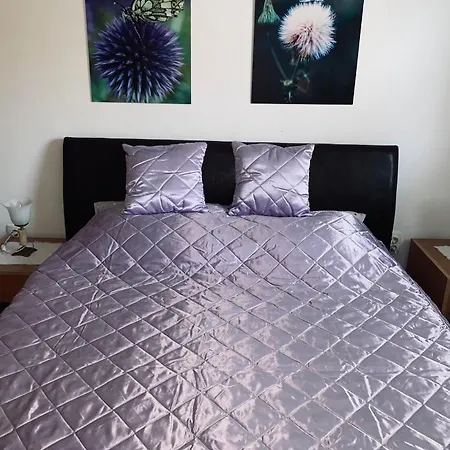 Jz * Ζλάτιμπορ