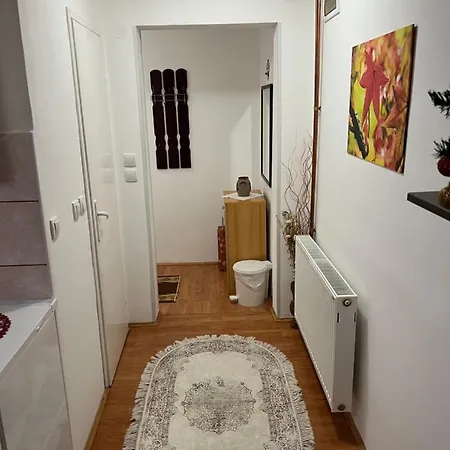 Apartment Jz Zlatibor