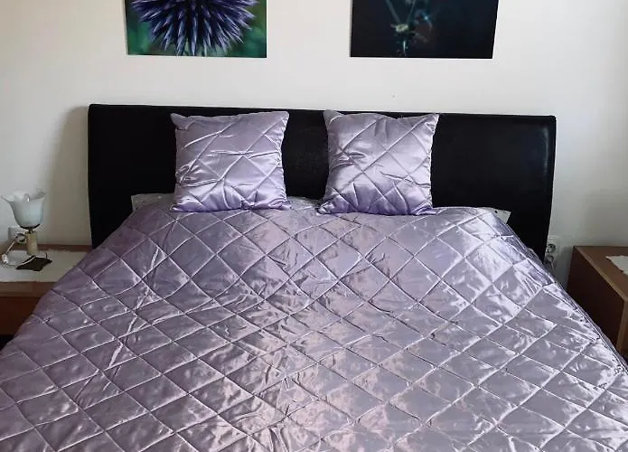 Jz * Ζλάτιμπορ